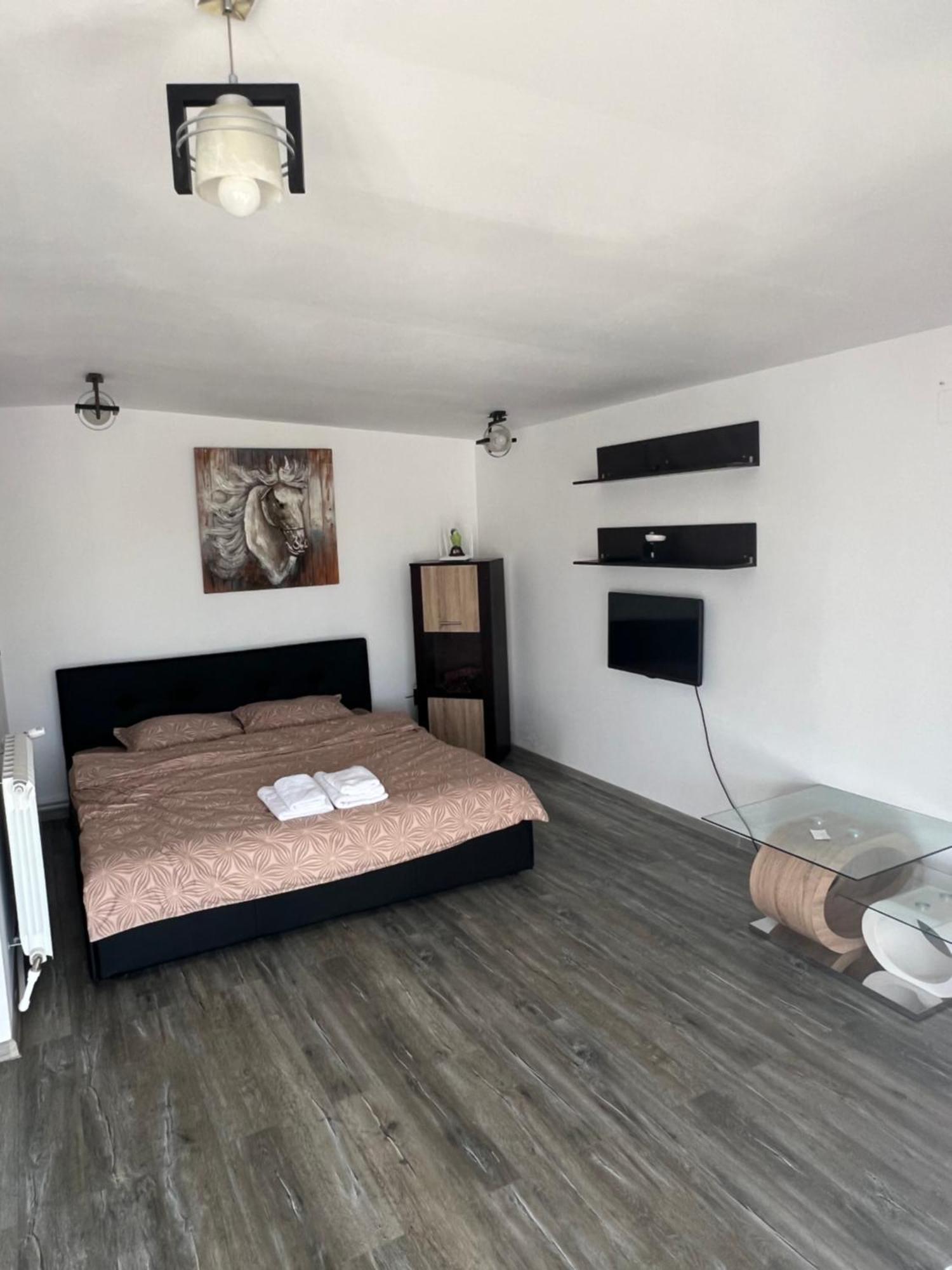 Hotel Casa Selly à Tulcea Extérieur photo